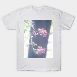 red Malus Radiant crab apple blossoms #6 T-Shirt